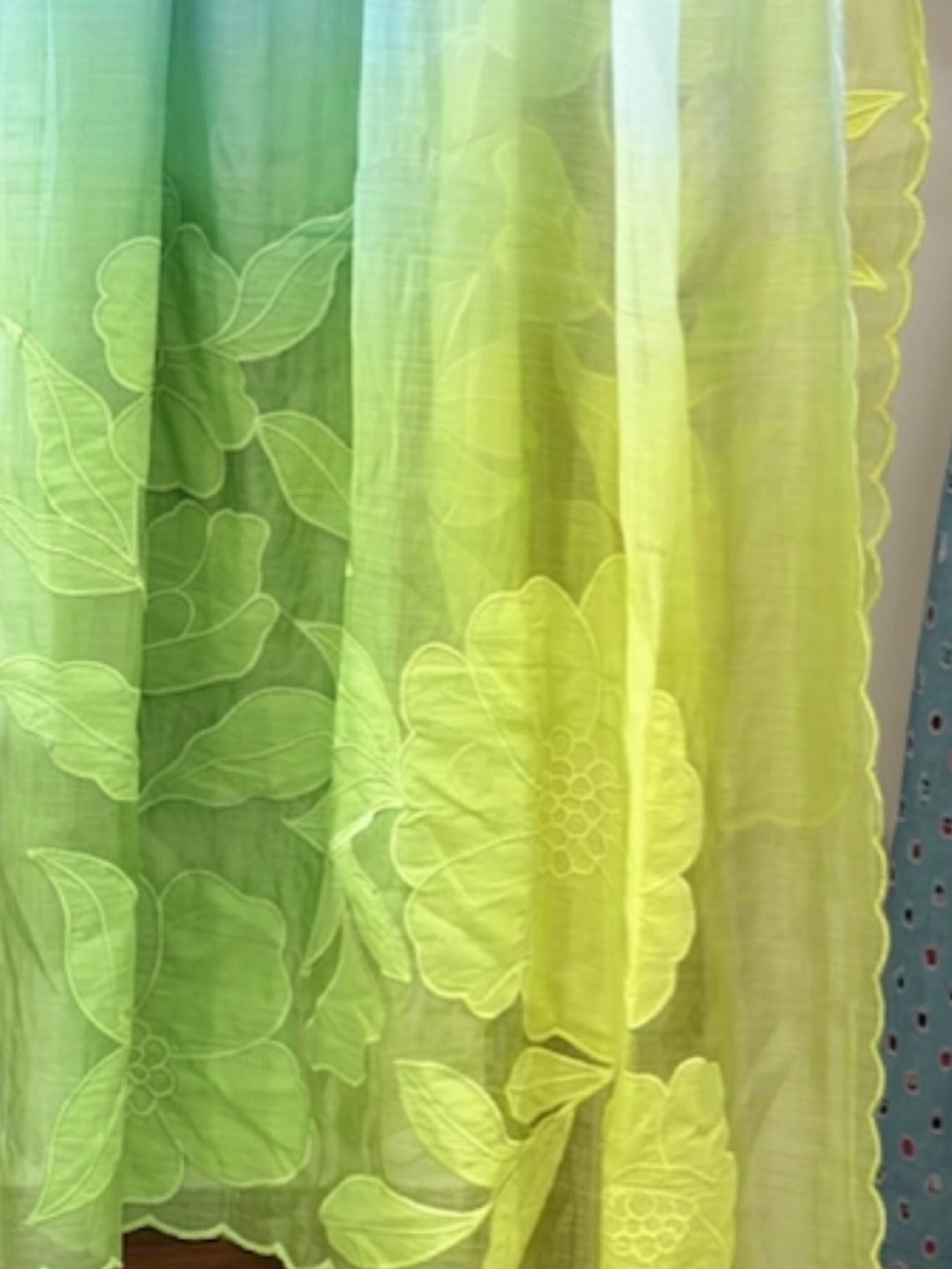 Pastel Blue to Lime Green Ombre Floral Embroidered Dupatta